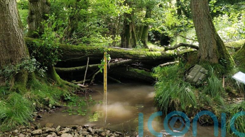 Beaver-like dams can protect communities from flooding, study finds