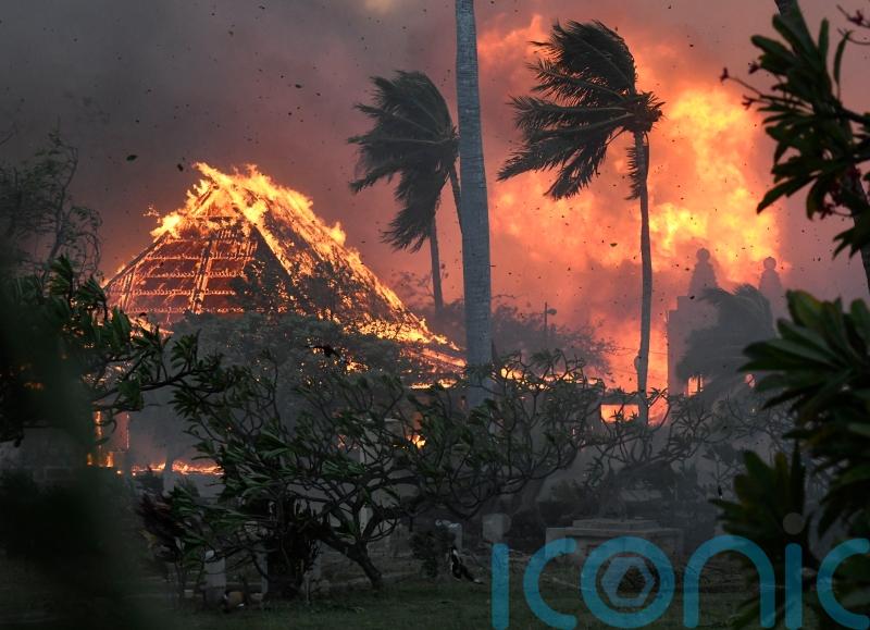 Hawaii wildfires leave at least 36 people dead