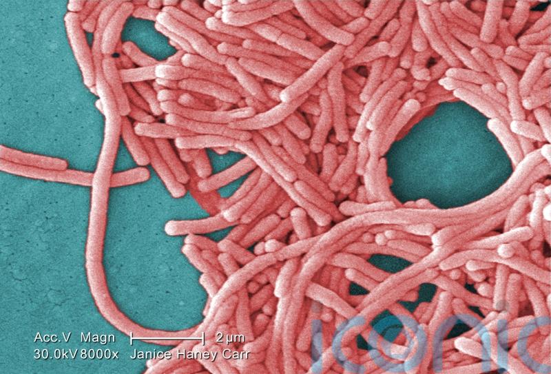 Legionella bacteria can cause serious lung disease that is fatal in 10% of cases