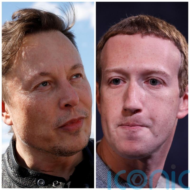 Mark Zuckerberg plays down Elon Musk’s cage fight details