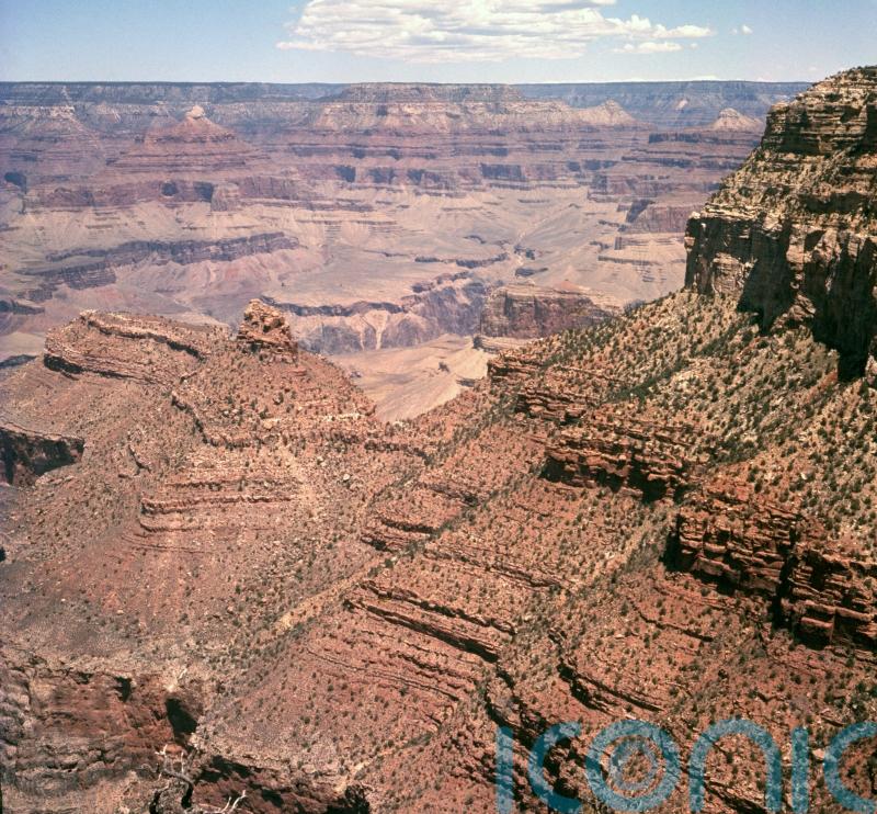 Boy, 13, survives 100ft fall at Grand Canyon
