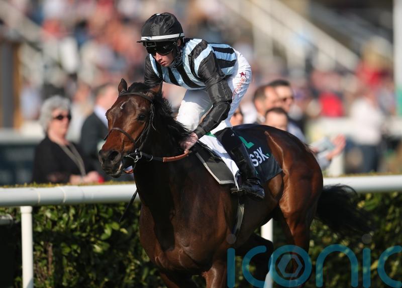 Hannon banking on drop in trip to work in Chindit’s favour