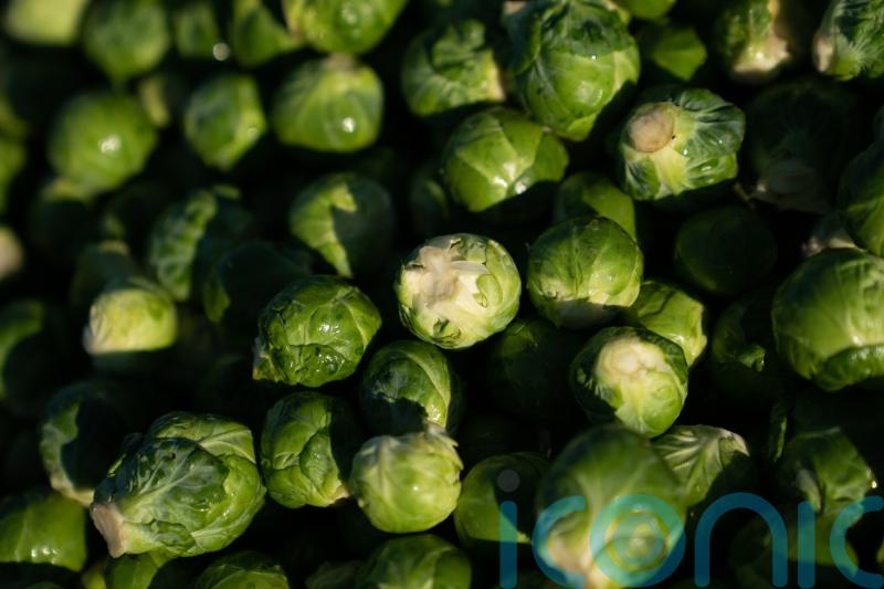 Eating vegetables could help ease lung illness – study