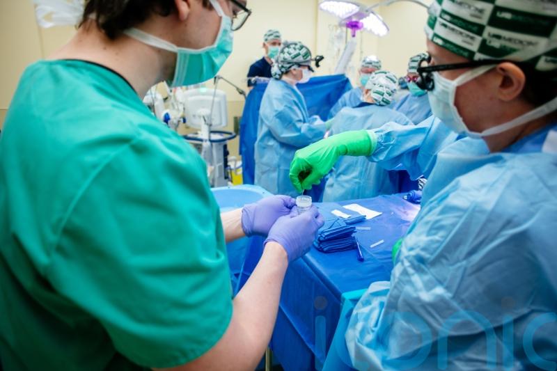 Pig kidneys demonstrate ‘life-sustaining kidney function’ in a human – study
