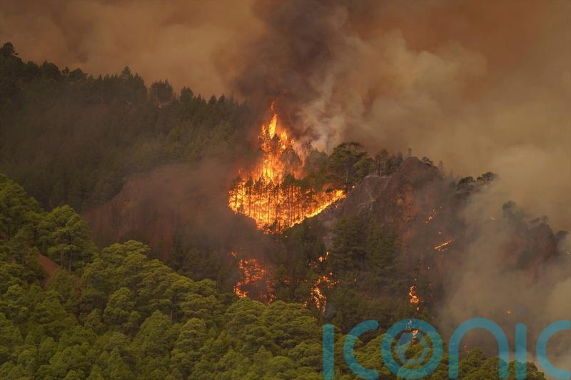 Thousands evacuated as out-of-control wildfire scorches Tenerife
