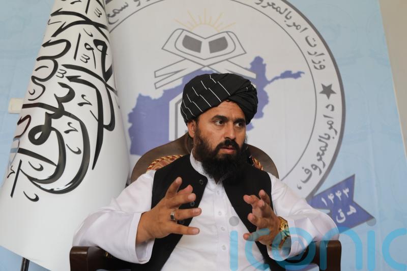 Women lose value if their faces are visible to men in public – Taliban official