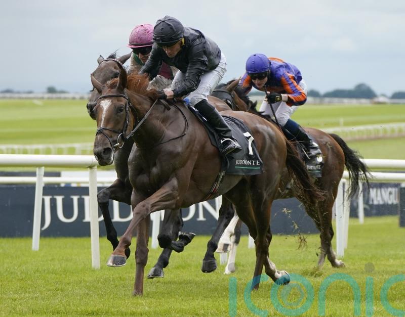 Savethelastdance and Bluestocking set for York rematch