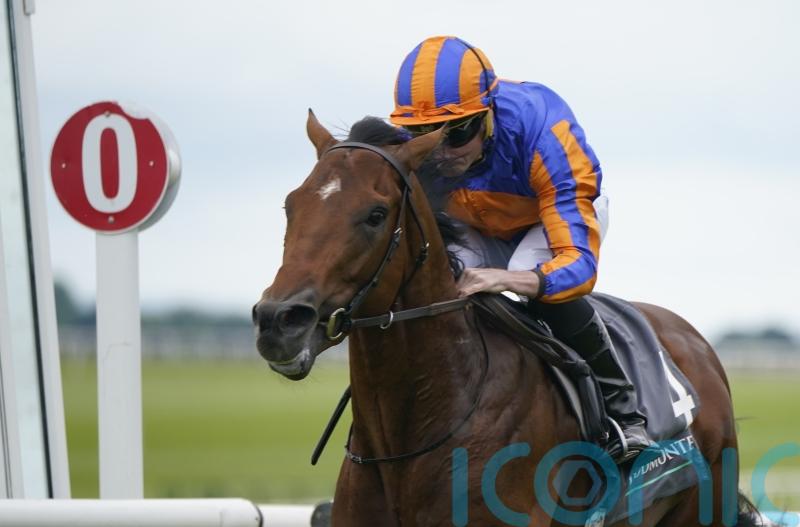 Henry Longfellow steps up for Futurity Stakes assignment