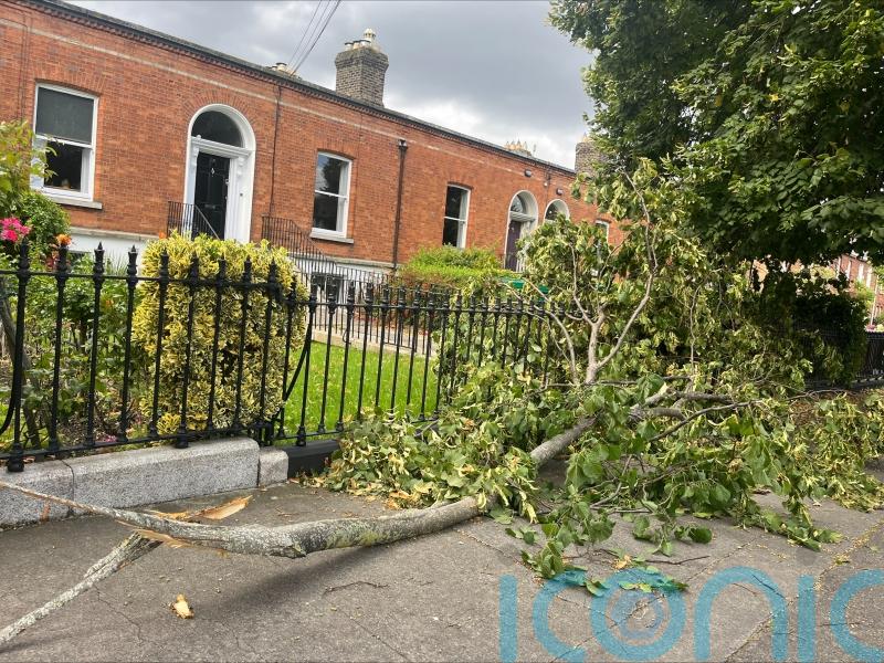 Some households expected to remain without power overnight following Storm Betty