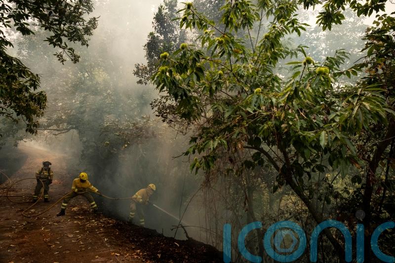 Cooler weather overnight helps firefighters battling Tenerife wildfire