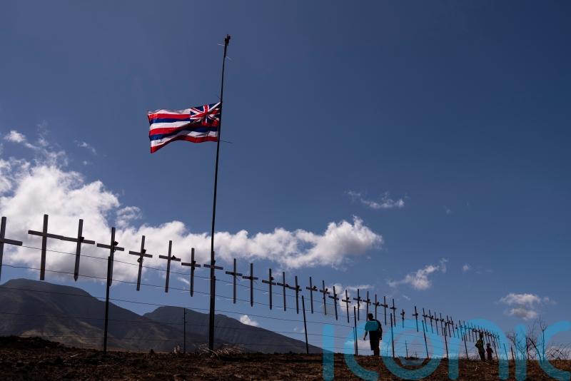 Hawaii officials urge families of people missing after fires to give DNA samples