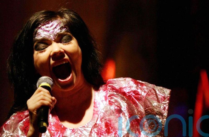 Bjork named best live performer at independent music awards