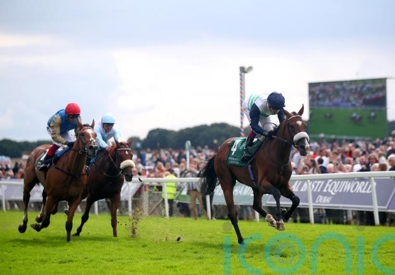 Coltrane comes good for York revenge on Courage Mon Ami