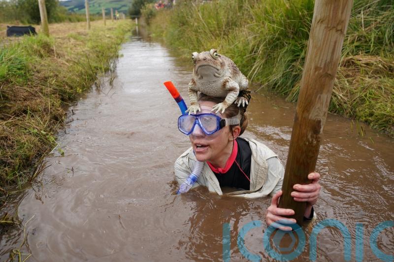 Flippering marvellous: Bog snorkelling fans test endurance at world champs