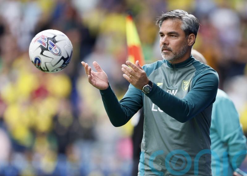 David Wagner proud of ‘mature’ display from much-changed Norwich