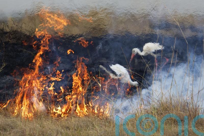 In Pictures: First Wildlife Photographer of the Year images revealed