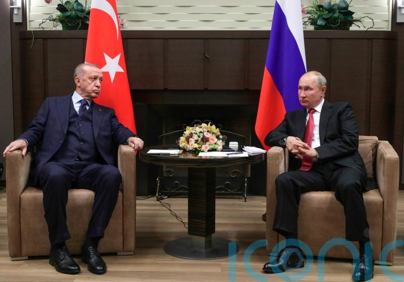 Turkish President to meet Putin in bid to revive Ukraine grain export deal
