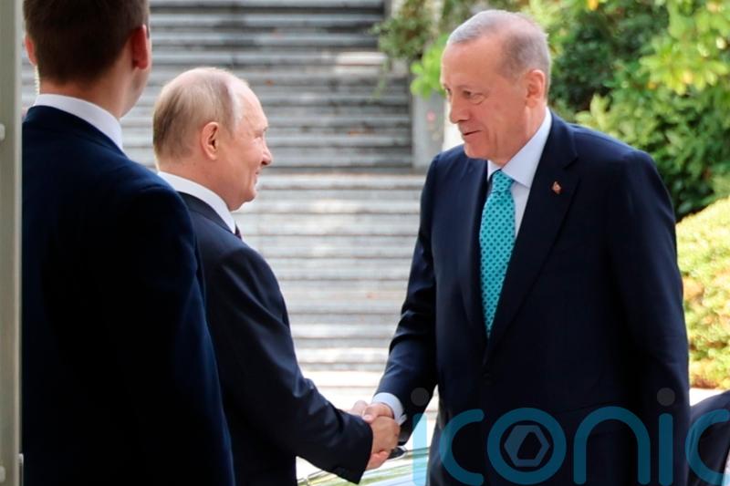 Talks under way between Putin and Erdogan to revive Ukraine grain export deal