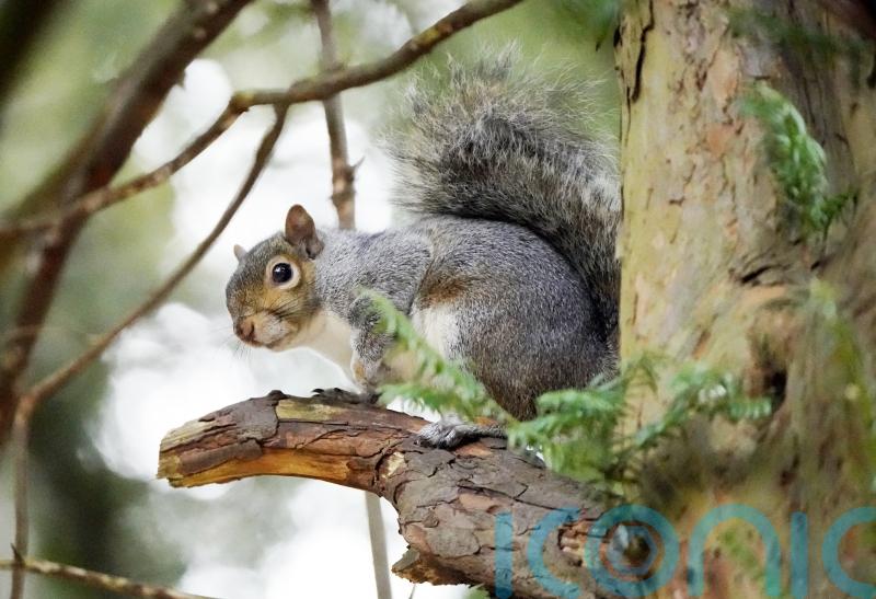 Invasive alien species ‘travelling around the world at unprecedented rates’