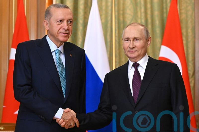 Putin says there will be no new grain deal until West meets his demands