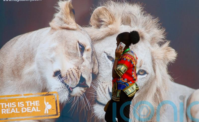 African Climate Summit urges world leaders to back global tax on fossil fuels