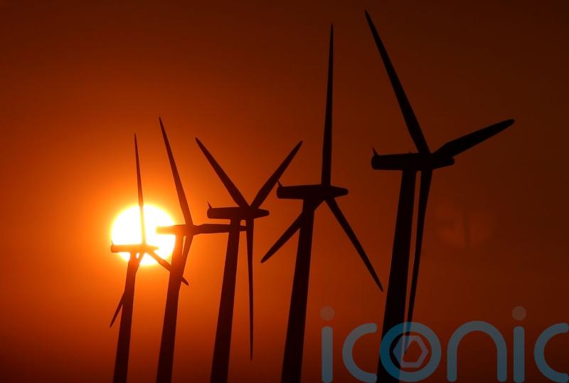 Government ‘must deliver much bigger offer’ after offshore wind auction failure