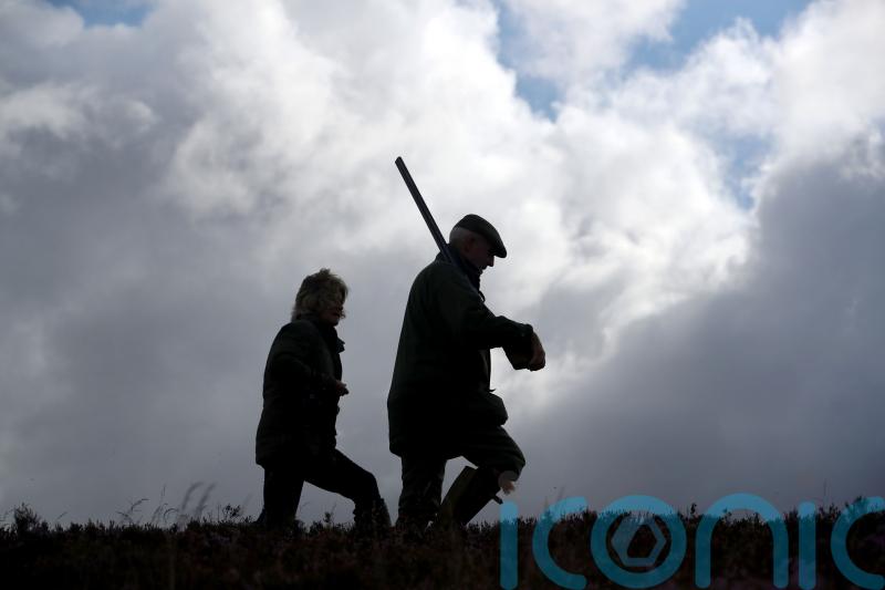 Rural businesses unite to voice concern over grouse shooting licence plans