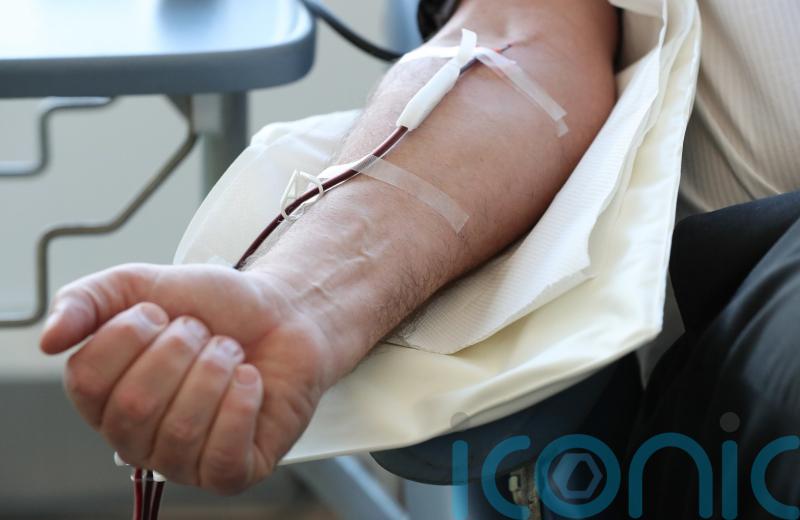 Experts hail new blood stem cell donation service