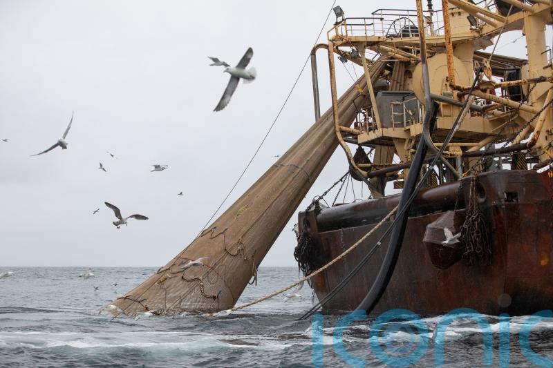 Government allowing overfishing by ignoring scientific advice, report warns
