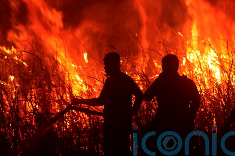 Firefighters battle peatland blazes on Indonesian island of Sumatra