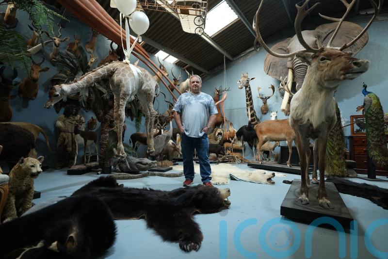 Taxidermist who helped create Hedwig in Harry Potter and made roller-skating alpaca says ‘I’ll work until I’m stuffed’
