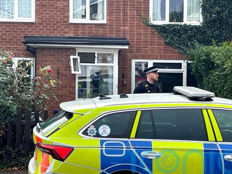 Man dies after attack by two dogs