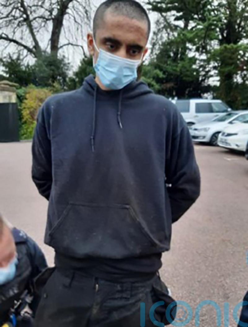 Self-styled crossbow assassin apologises to King for ‘worrying times’