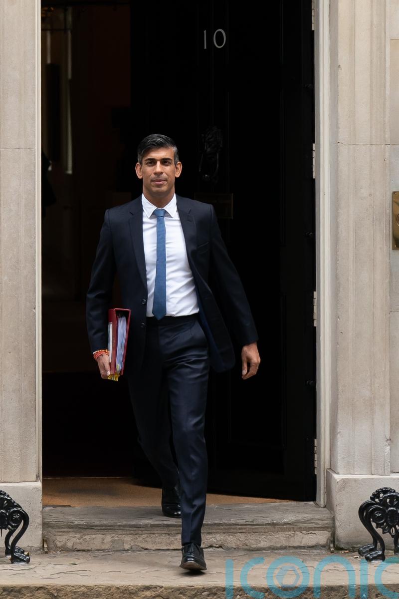 Rishi Sunak promises to ban ‘dangerous’ XL bully dogs by end of the year