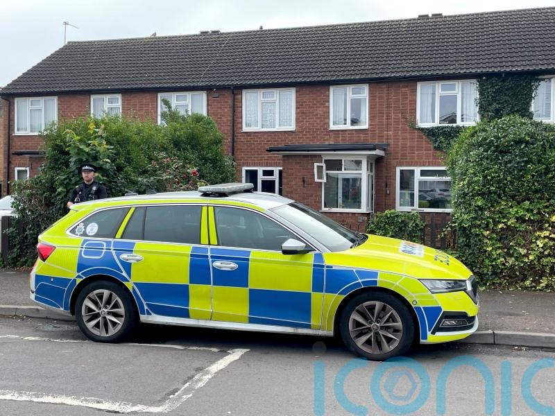 Man held on suspicion of manslaughter after attack by two XL bullies