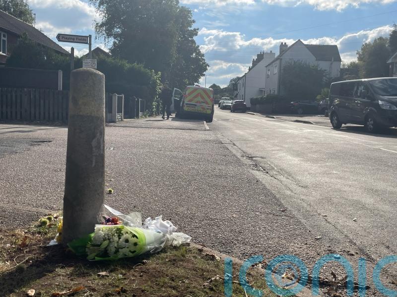 Man released on bail after arrest over fatal dog attack
