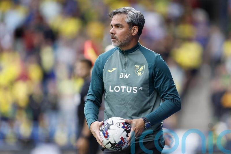 David Wagner pleased with Norwich resilience in win over Stoke