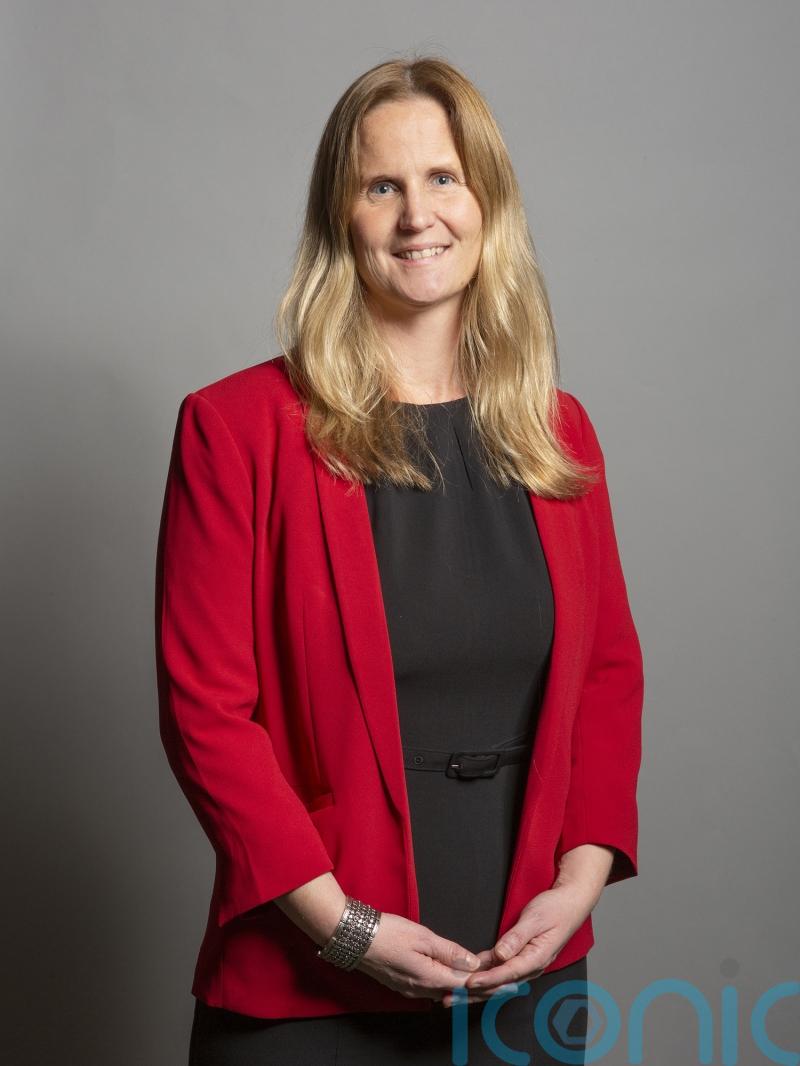 Left-leaning Labour MP seeks independent review of selection contest