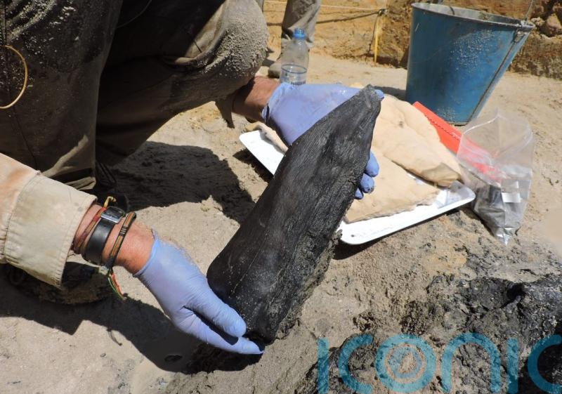 Proof of Stone Age humans building wooden structures uncovered by archaeologists