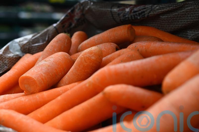 Researchers discover what makes carrots orange