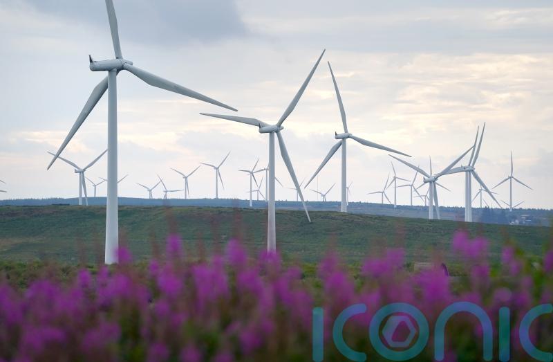 Renewables bosses urge ministers to publish energy plan ‘as soon as possible’