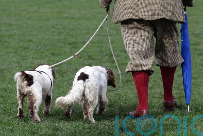 Gamekeepers treated like ‘pawns in done deals’, association warns