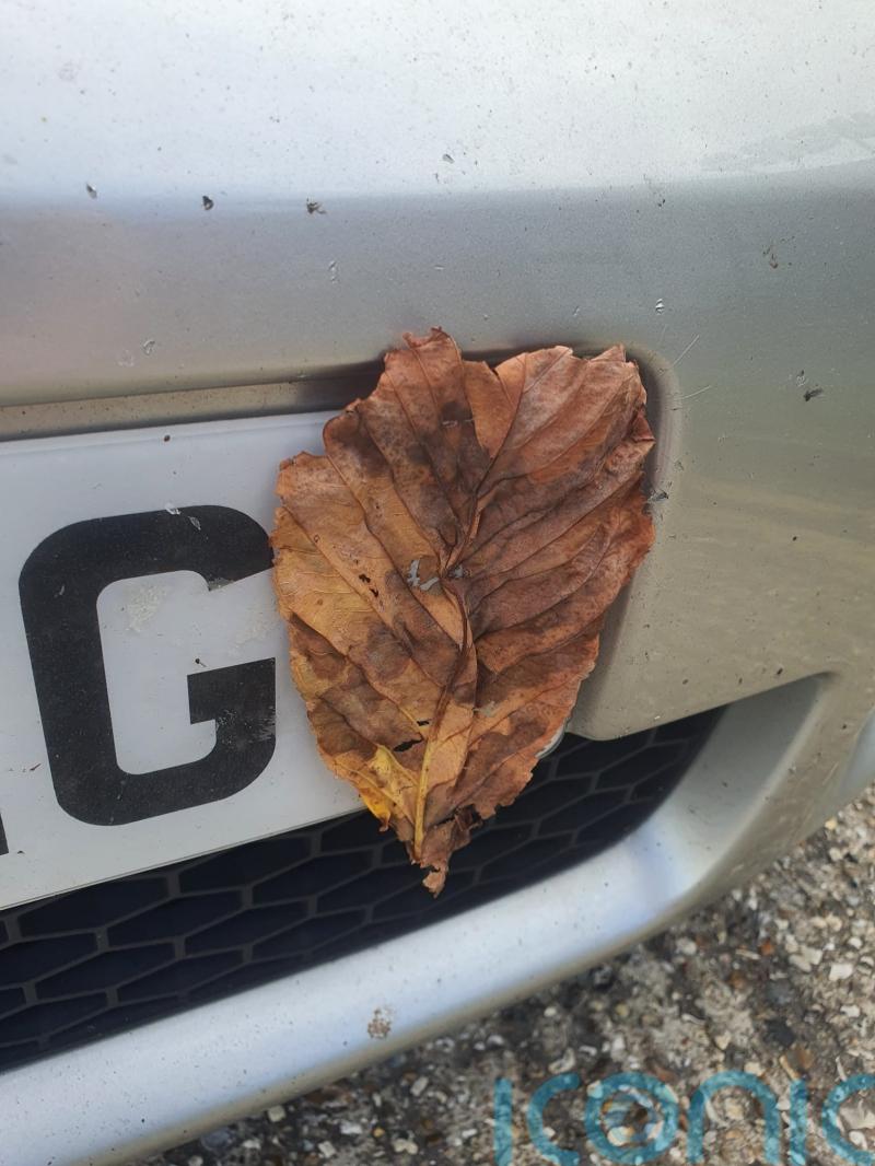 Motorist fined for taping a leaf to obscure their number plate