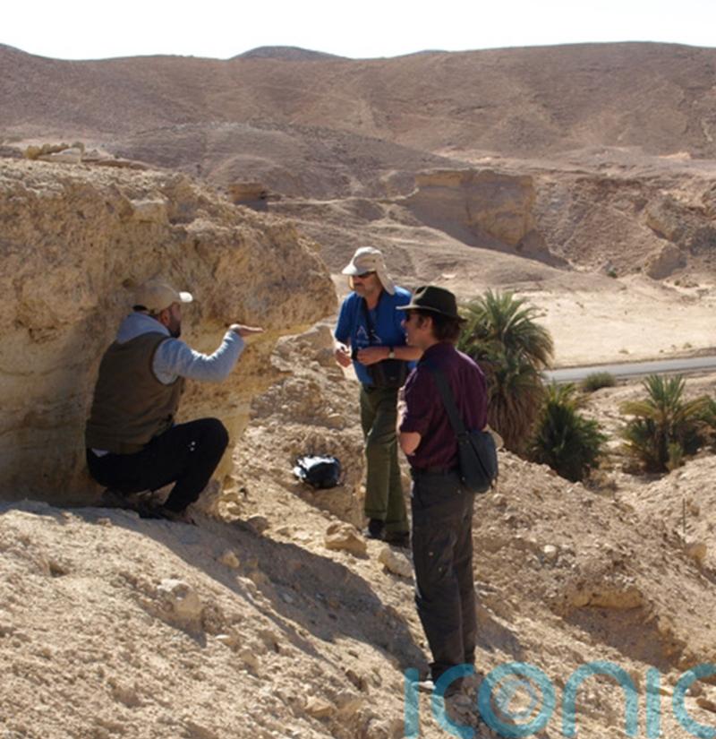 Scientists confirm early man followed river route out of Africa 84,000 years ago