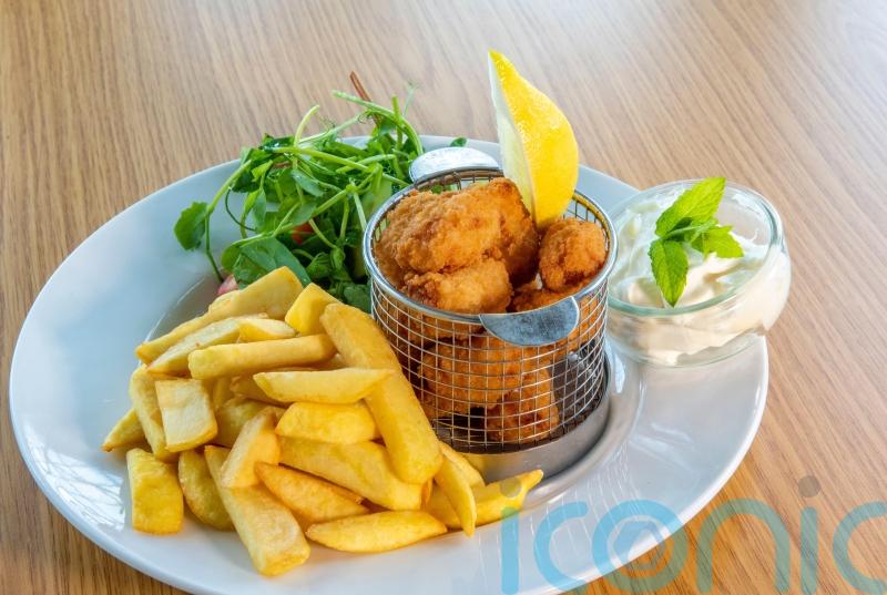 Merger could push up scampi prices in UK pubs and restaurants, CMA finds