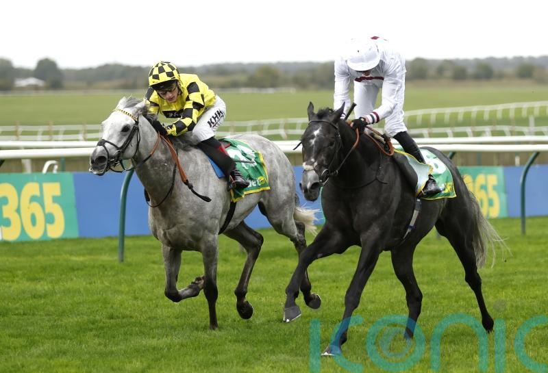Alsakib makes another leap with Rowley Cup verdict