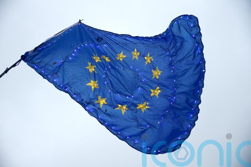 ‘Call us’ – German minister sends apparent trading relations invitation to UK