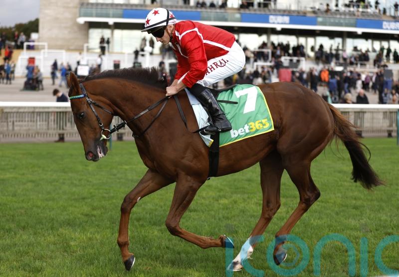 Sangster dreaming of Guineas glory with Shuwari