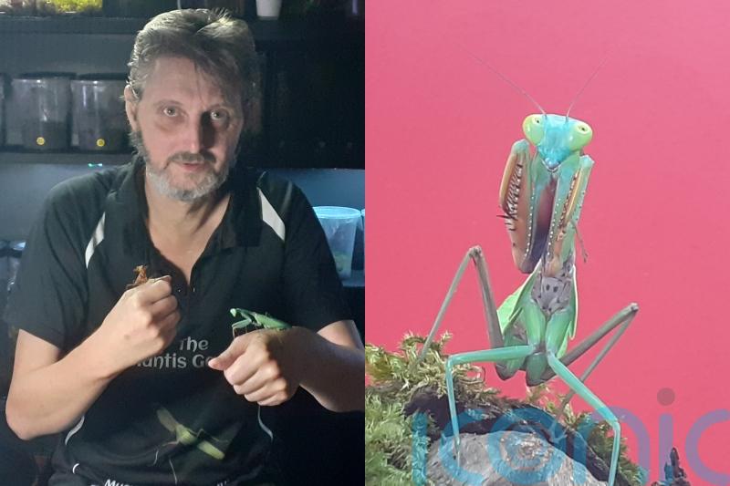 Bug-loving couple who share home with thousands of insects say free-roaming mantises can ‘kill the mood’ in the bedroom