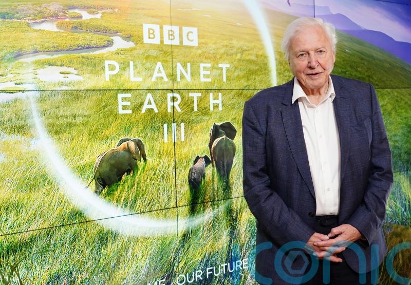 Sir David Attenborough says children need more opportunities to observe nature